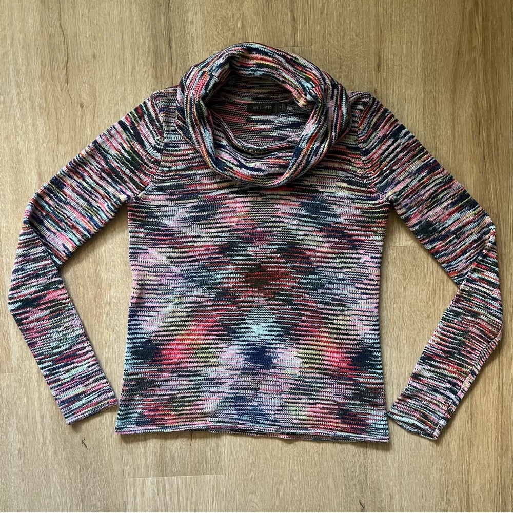 The limited small multi colored sweater